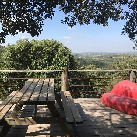 Olea Europaea Villa