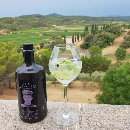 Villa Olea Europaea Assignan